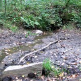 1109F 156 Ederquelle